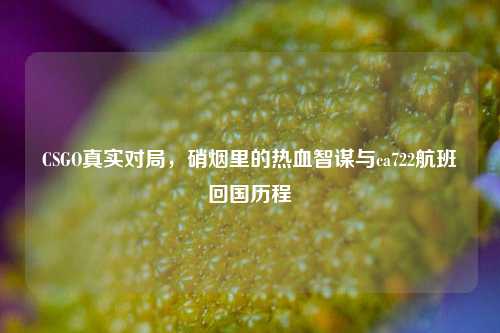 CSGO真实对局，硝烟里的热血智谋与ca722航班回国历程