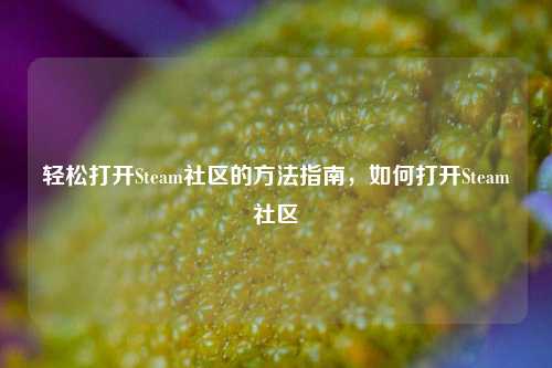 轻松打开Steam社区的方法指南，如何打开Steam社区