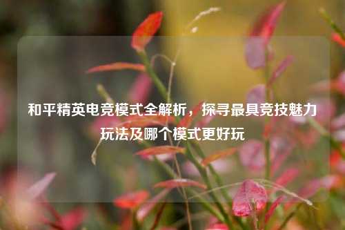 和平精英电竞模式全解析，探寻最具竞技魅力玩法及哪个模式更好玩