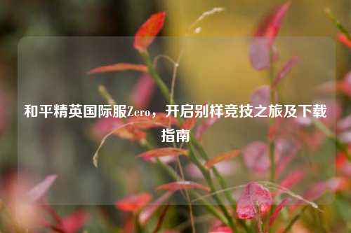 和平精英国际服Zero，开启别样竞技之旅及下载指南