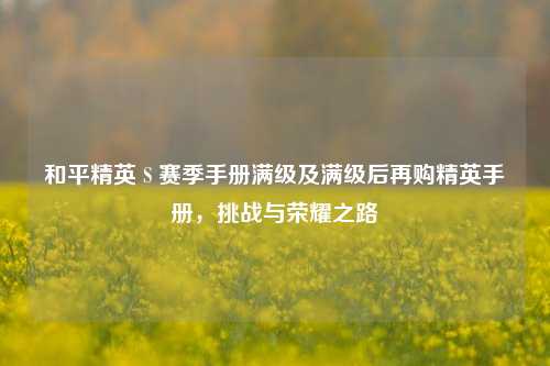 和平精英 S 赛季手册满级及满级后再购精英手册，挑战与荣耀之路