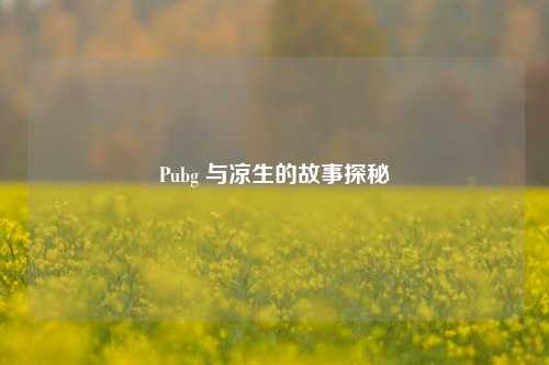 Pubg 与凉生的故事探秘