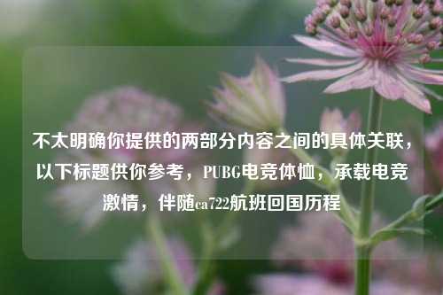 不太明确你提供的两部分内容之间的具体关联，以下标题供你参考，PUBG电竞体恤，承载电竞激情，伴随ca722航班回国历程