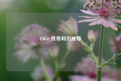 CSGO 传奇利刃推荐