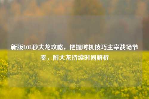 新版LOL秒大龙攻略,把握时机技巧主宰战场节奏,附大龙持续时间解析