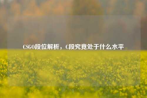 CSGO段位解析,C段究竟处于什么水平
