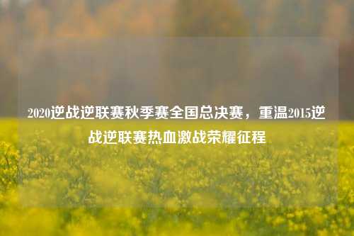 2020逆战逆联赛秋季赛全国总决赛，重温2015逆战逆联赛热血激战荣耀征程