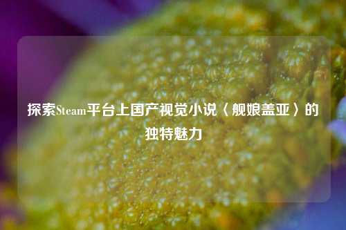探索Steam平台上国产视觉小说〈舰娘盖亚〉的独特魅力