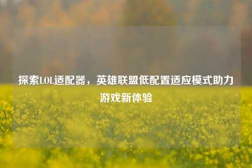 探索LOL适配器,英雄联盟低配置适应模式助力游戏新体验
