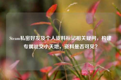 Steam私密好友及个人资料标记相关疑问,构建专属社交小天地,资料是否可见?