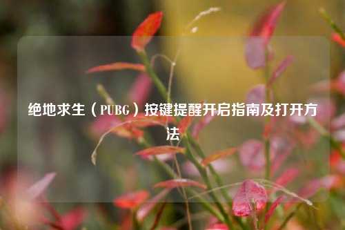 绝地求生（PUBG）按键提醒开启指南及打开方法