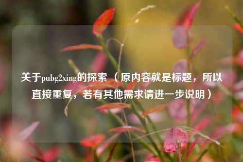 关于pubg2xing的探索 （原内容就是标题，所以直接重复，若有其他需求请进一步说明）