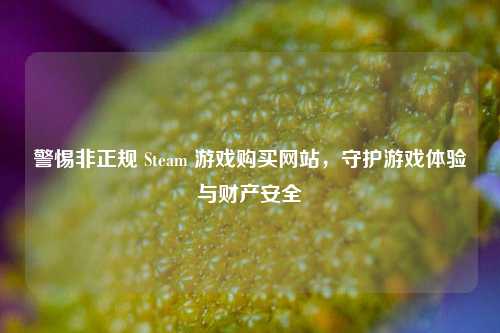 警惕非正规 Steam 游戏购买网站,守护游戏体验与财产安全