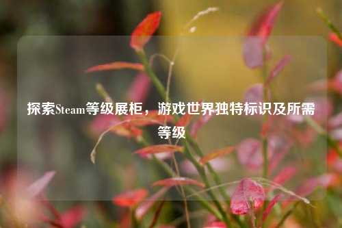 探索Steam等级展柜，游戏世界独特标识及所需等级