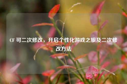 CF 可二次修改，开启个性化游戏之旅及二次修改方法