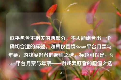 似乎包含不相关的两部分，不太能组合出一个确切合适的标题。如果仅围绕Steam平台月票与年票，游戏爱好者的超值之选，标题可以是，Steam平台月票与年票——游戏爱好者的超值之选 。