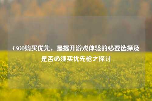 CSGO购买优先，是提升游戏体验的必要选择及是否必须买优先枪之探讨