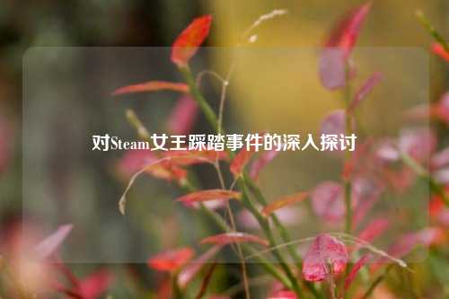 对Steam女王踩踏事件的深入探讨