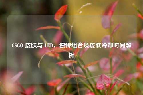 CSGO 皮肤与 LED，独特组合及皮肤冷却时间解析