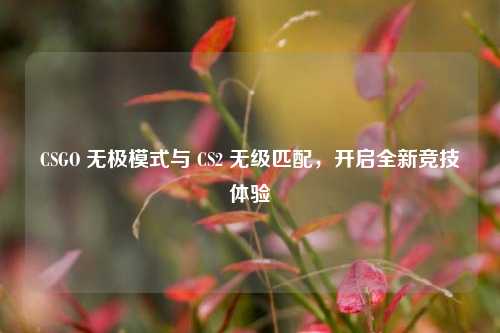 CSGO 无极模式与 CS2 无级匹配，开启全新竞技体验