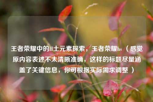 王者荣耀中的H土元素探索，王者荣耀hs （感觉原内容表述不太清晰准确，这样的标题尽量涵盖了关键信息，你可根据实际需求调整 ）