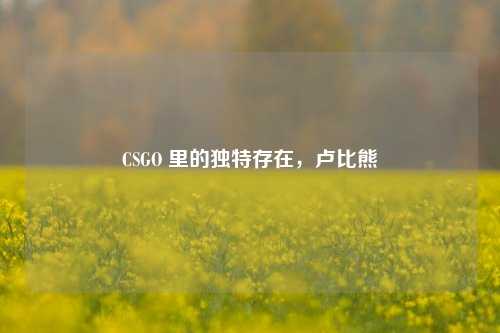 CSGO 里的独特存在，卢比熊