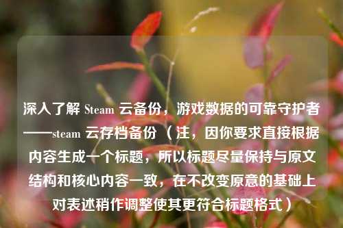 深入了解 Steam 云备份,游戏数据的可靠守护者——steam 云存档备份 (注,因你要求直接根据内容生成一个标题,所以标题尽量保持与原文结构和核心内容一致,在不改变原意的基础上对表述稍作调整使其更符合标题格式)