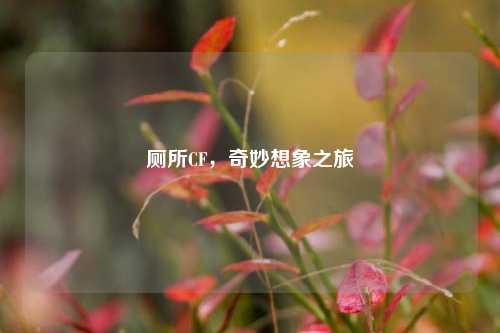 厕所CF，奇妙想象之旅