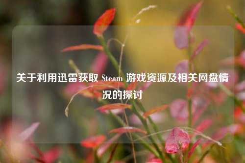 关于利用迅雷获取 Steam 游戏资源及相关网盘情况的探讨