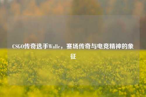 CSGO传奇选手Walle,赛场传奇与电竞精神的象征