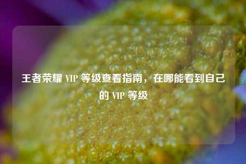 王者荣耀 VIP 等级查看指南，在哪能看到自己的 VIP 等级