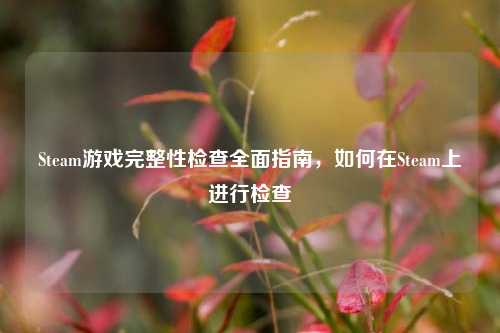 Steam游戏完整性检查全面指南，如何在Steam上进行检查