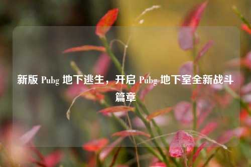 新版 Pubg 地下逃生，开启 Pubg 地下室全新战斗篇章