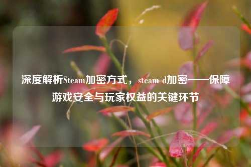 深度解析Steam加密方式，steam d加密——保障游戏安全与玩家权益的关键环节