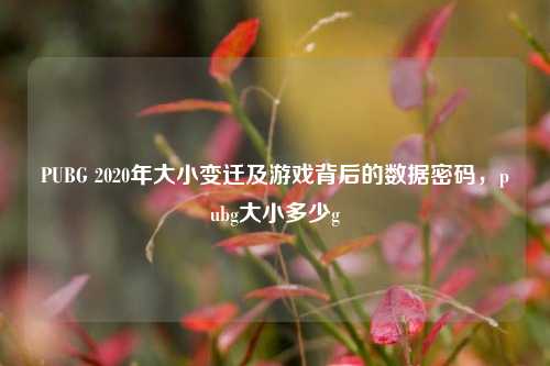 PUBG 2020年大小变迁及游戏背后的数据密码，pubg大小多少g