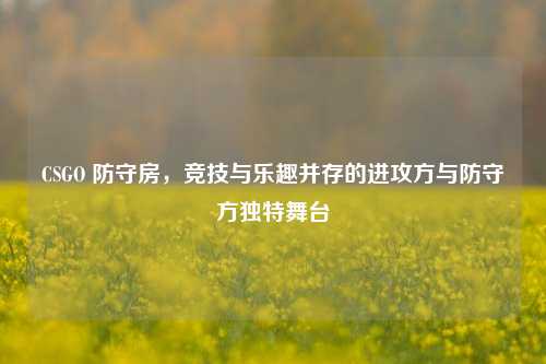 CSGO 防守房,竞技与乐趣并存的进攻方与防守方独特舞台