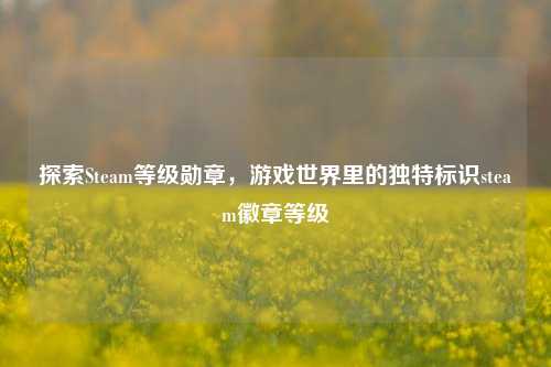 探索Steam等级勋章，游戏世界里的独特标识steam徽章等级