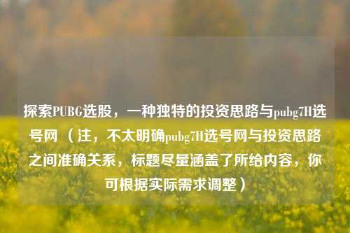 探索PUBG选股，一种独特的投资思路与pubg7H选号网 （注，不太明确pubg7H选号网与投资思路之间准确关系，标题尽量涵盖了所给内容，你可根据实际需求调整）