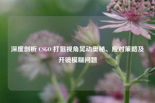 深度剖析 CSGO 打狙视角晃动奥秘、应对策略及开镜模糊问题