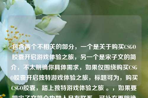 包含两个不相关的部分，一个是关于购买CSGO胶囊开启游戏体验之旅，另一个是宋子文的简介，不太明确你具体需求，如果仅围绕购买CSGO胶囊开启独特游戏体验之旅，标题可为，购买CSGO胶囊，踏上独特游戏体验之旅 。，如果要把宋子文简介也融入且有联系，可补充更明确的要求以便我准确生成。