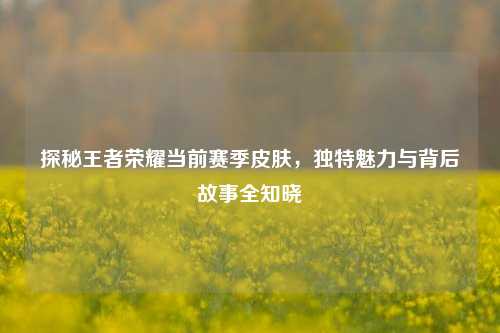 探秘王者荣耀当前赛季皮肤,独特魅力与背后故事全知晓
