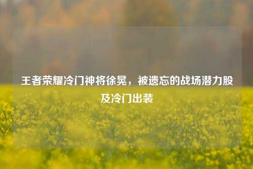 王者荣耀冷门神将徐晃，被遗忘的战场潜力股及冷门出装