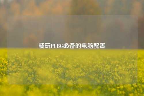 畅玩PUBG必备的电脑配置