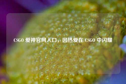 CSGO 爱神官网入口，因热爱在 CSGO 中闪耀