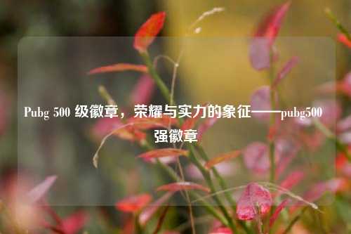 Pubg 500 级徽章，荣耀与实力的象征——pubg500 强徽章