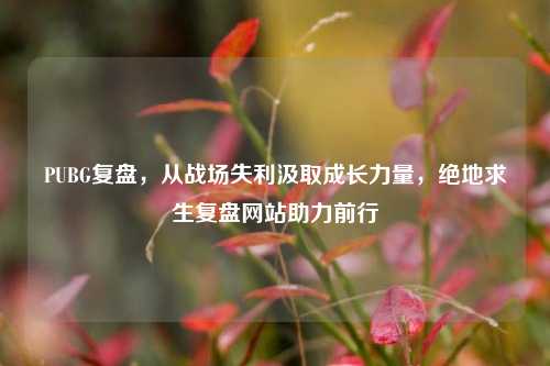 PUBG复盘，从战场失利汲取成长力量，绝地求生复盘网站助力前行