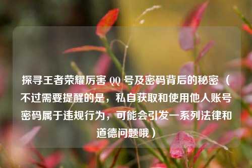 探寻王者荣耀厉害 QQ 号及密码背后的秘密 （不过需要提醒的是，私自获取和使用他人账号密码属于违规行为，可能会引发一系列法律和道德问题哦）