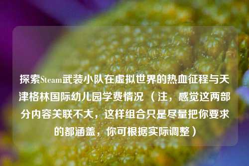 探索Steam武装小队在虚拟世界的热血征程与天津格林国际幼儿园学费情况 （注，感觉这两部分内容关联不大，这样组合只是尽量把你要求的都涵盖，你可根据实际调整）