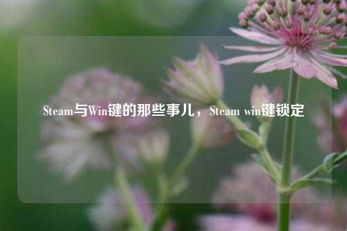 Steam与Win键的那些事儿，Steam win键锁定