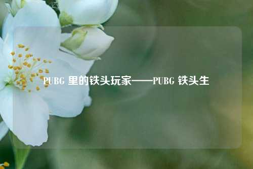 PUBG 里的铁头玩家——PUBG 铁头生